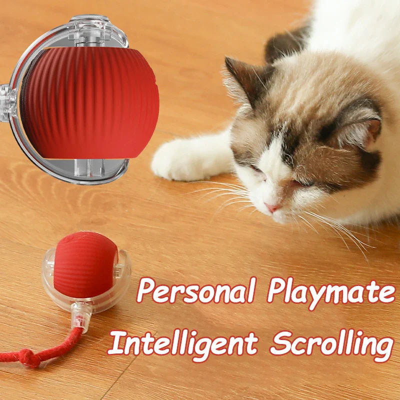 Interactive Cat Toy Rolling Ball with Tail