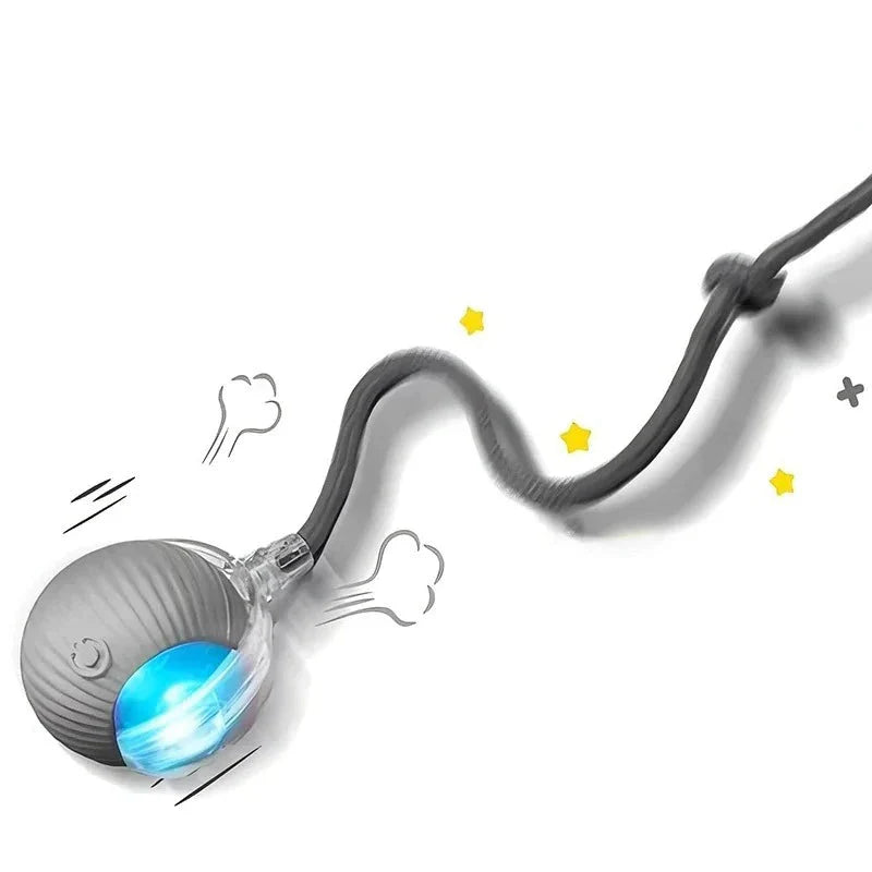 Interactive Cat Toy Rolling Ball with Tail