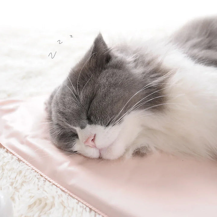 Heating Pad for Pets Waterproof Warming Mat for Cats and Dogs