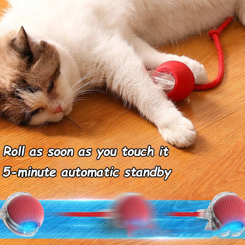 Interactive Cat Toy Rolling Ball with Tail